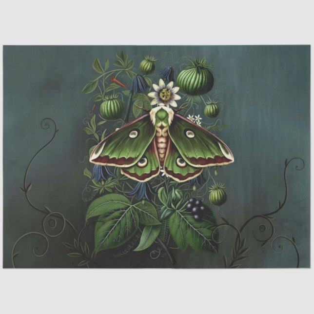Papel De Seda Decoupage Woodland Moth Illustration (Anverso)
