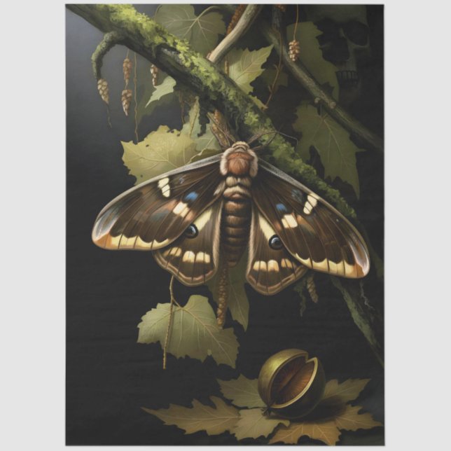 Papel De Seda Decoupage Woodland Moth Illustration (Anverso)