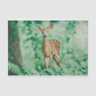 Papel De Seda Deer