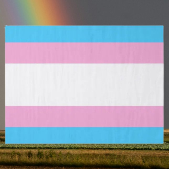 Papel De Seda Delicia de Pañuelos Orgullo Trans (Subido por el creador)