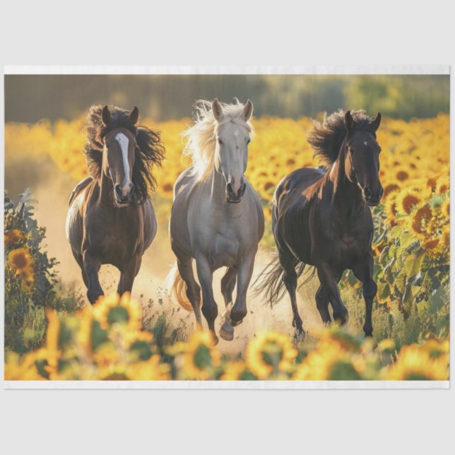 Papel De Seda Desacoplar 3 caballos Corriendo Sunflowers (Anverso)