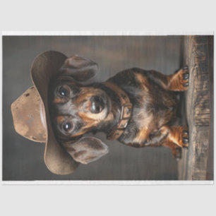 Papel De Seda Desalojar al alguacil de Dachshund en el área
