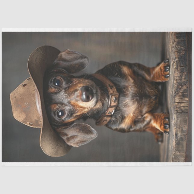 Papel De Seda Desalojar al alguacil de Dachshund en el área (Anverso)