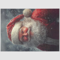 Desaparecer Ole Saint Nick Santa Claus