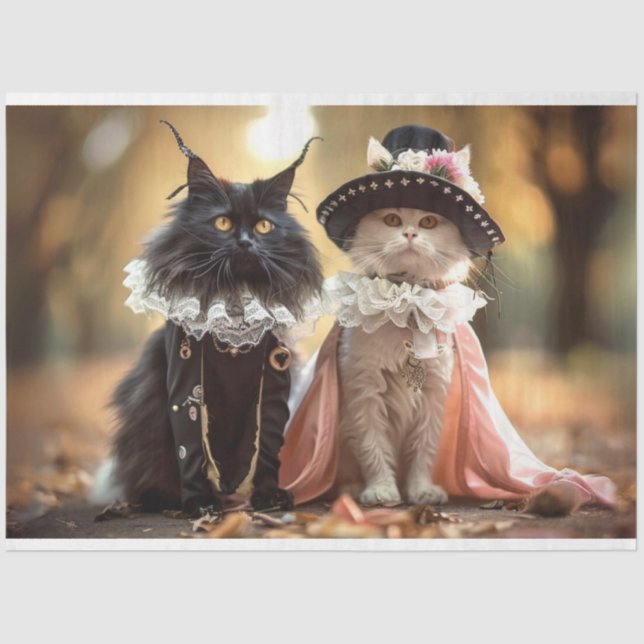 Papel De Seda Descifrar los gatos franceses Mystique & Duchess (Anverso)