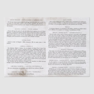 Papel De Seda Descodificación de páginas de libros antiguas fran