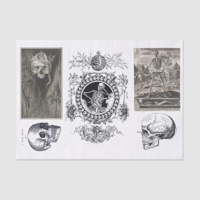 Papel De Seda Descomposición de la colección de Halloween (Anverso)