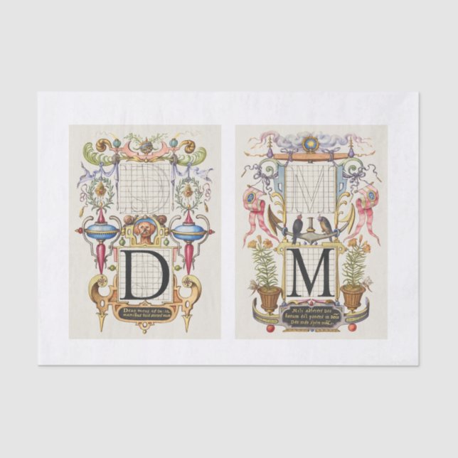 Papel De Seda Descomposición del jardín de caligrafía floral (Anverso)