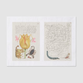 Papel De Seda Desconexión de caligrafía floral de insectos de ja