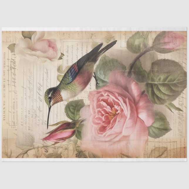 Papel De Seda Desconexión de colibrí y rosas rosadas (Anverso)