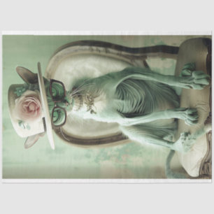 Papel De Seda Desconexión de esfinge de Moda de gato sin pelo