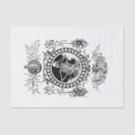 Papel De Seda Desconexión de Halloween