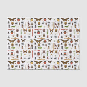 Papel De Seda Desconexión de insectos