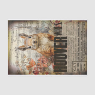 Papel De Seda Desconexión de la ardilla de época