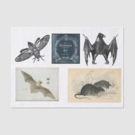 Papel De Seda Desconexión de la colección de Halloween