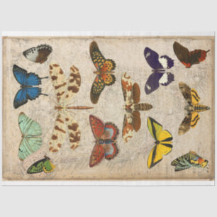 Papel De Seda Desconexión de la mariposa de la libélula