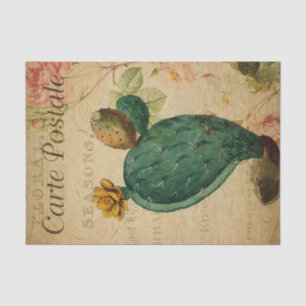 Papel De Seda Desconexión de la planta de cacti de postales fran