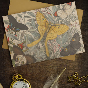 Papel De Seda Desconexión de mariposa de la Luna Botánica Vintag
