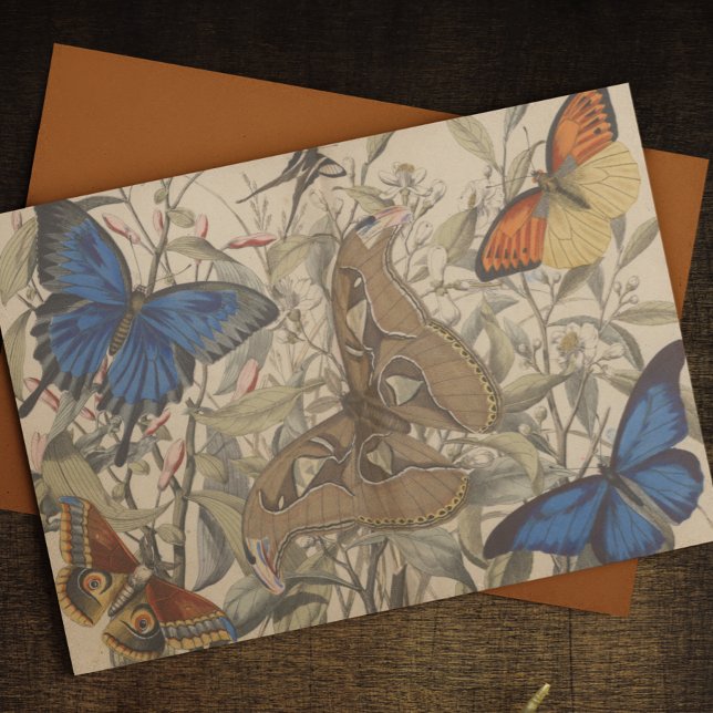 Papel De Seda Desconexión de mariposa de polivinilo botánico ant (Subido por el creador)