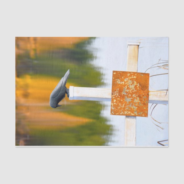Papel De Seda Desconexión de Naranja de otoño en fila (Anverso)