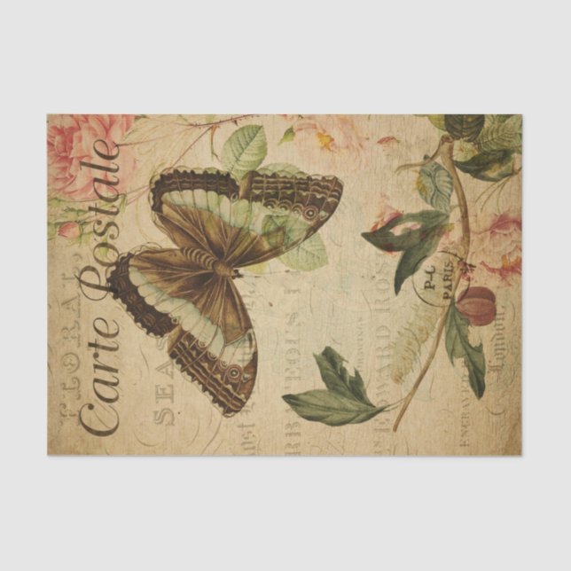 Papel De Seda Desconexión de oruga de oruga de mariposa pintada  (Anverso)