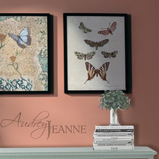 Papel De Seda Desconexión de polizones de malla de mariposa botá (Subido por el creador)