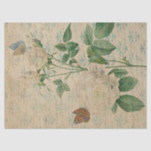 Desconexión de rosa blanco vintage y mariposa