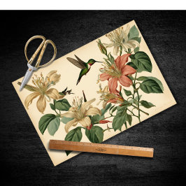 Papel De Seda Desconexión de Viñeta y Colibrí