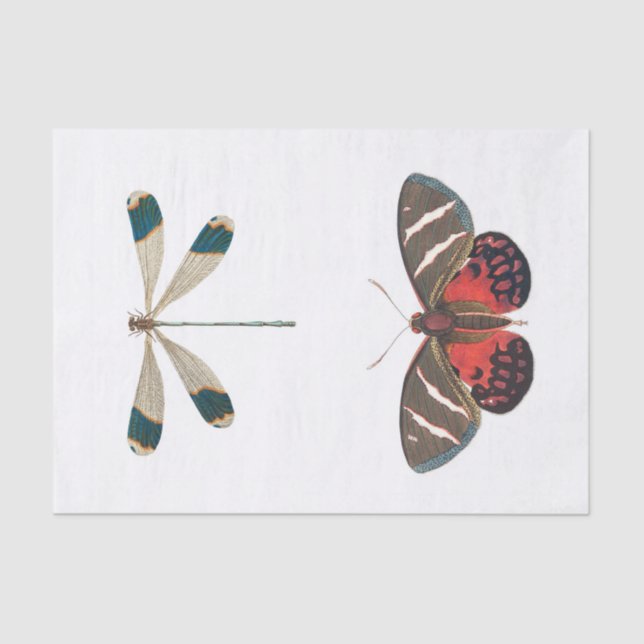 Papel De Seda Desconexión del jardín de los insectos (Anverso)