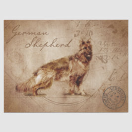 Papel De Seda Desconexión del pastor alemán