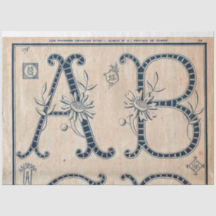 Papel De Seda Desconexión del patrón de bordado francés o despar