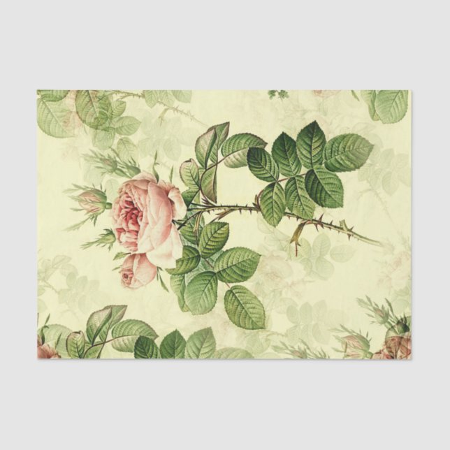 Papel De Seda Desconfianza de Rosas de cosecha rosa (Anverso)