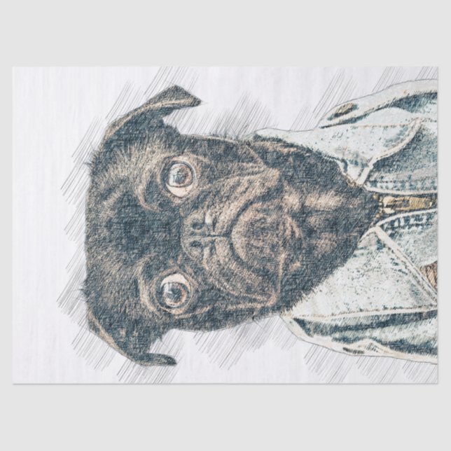 Papel De Seda Desengaño de perro de pug (Anverso)