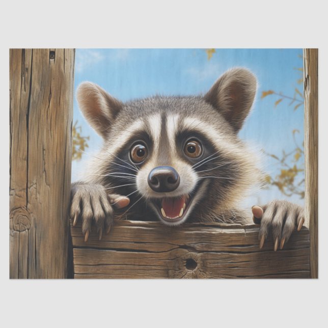 Papel De Seda Desenlace animal de Cute Racoon (Anverso)