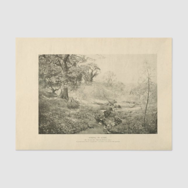 Papel De Seda Desenlace de árboles de primavera de paisaje (Anverso)