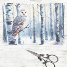 Desenlace de bosque de Birch Tree Birch Owl Winter