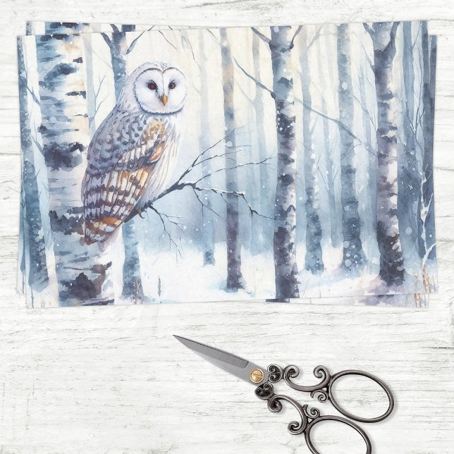 Papel De Seda Desenlace de bosque de Birch Tree Birch Owl Winter (Subido por el creador)