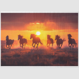 Papel De Seda Desenlace de caballos en funcionamiento al atardec