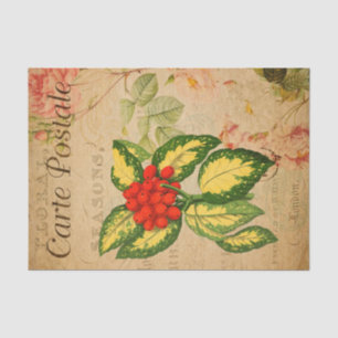 Papel De Seda Desenlace de Ephemera Francesa Postcard Red Berrie