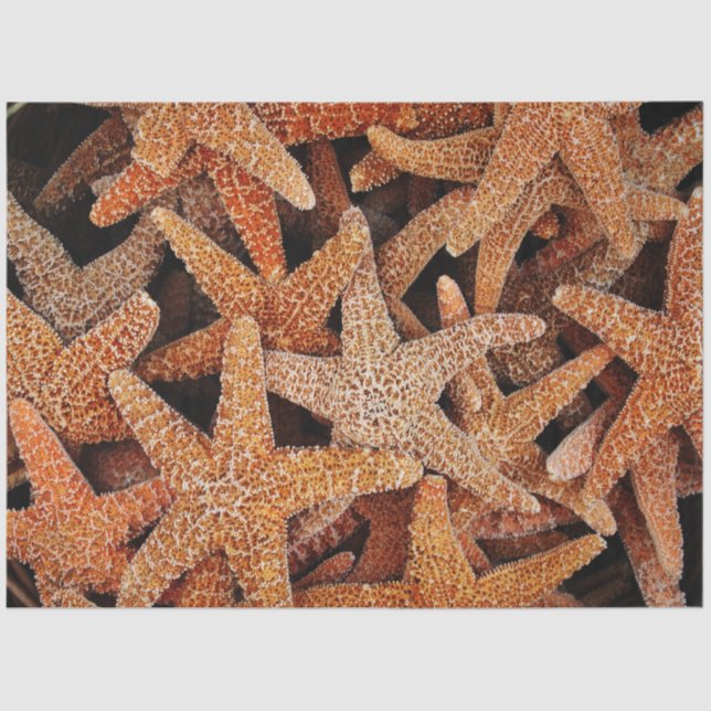 Papel De Seda Desenlace de fotografía de Starfish (Anverso)