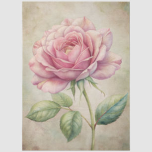Papel De Seda Desenlace de gran aflicción de la efemera rosa de
