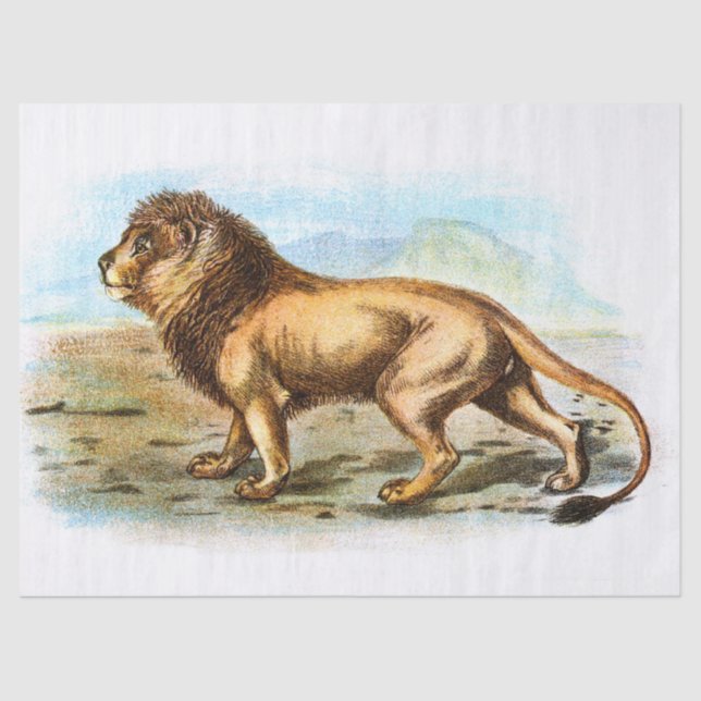 Papel De Seda Desenlace de Ilustracion de león de época (Anverso)
