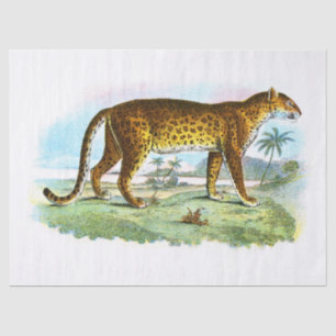 Papel De Seda Desenlace de Ilustracion de leopardo de época