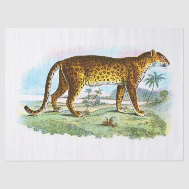 Papel De Seda Desenlace de Ilustracion de leopardo de época (Anverso)