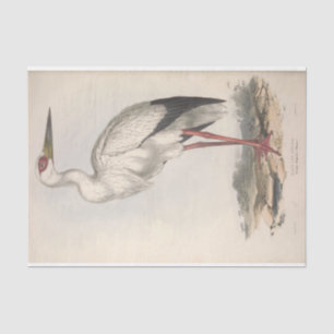 Papel De Seda Desenlace de la cigüeña de pájaro Ephemera