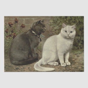Papel De Seda Desenlace de la efemera gris y blanca de gatos
