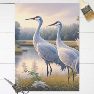 Papel De Seda Desenlace de la pareja Sandhill Crane