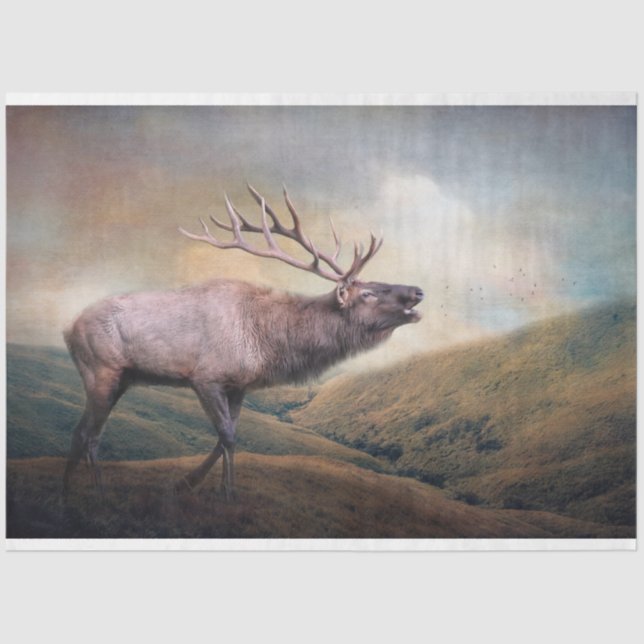 Papel De Seda Desenlace de la vida silvestre de Bull Elk Bugling (Anverso)