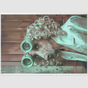 Papel De Seda Desenlace De Perro De Aves Con Vestido Extraño