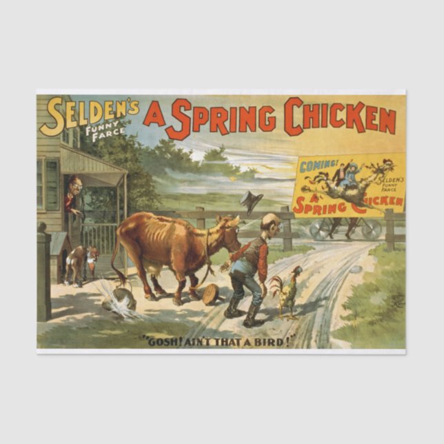 Papel De Seda Desenlace de pollo de primavera (Anverso)